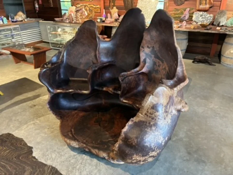 Large carved timber sculptural seat displayed inside the gallery